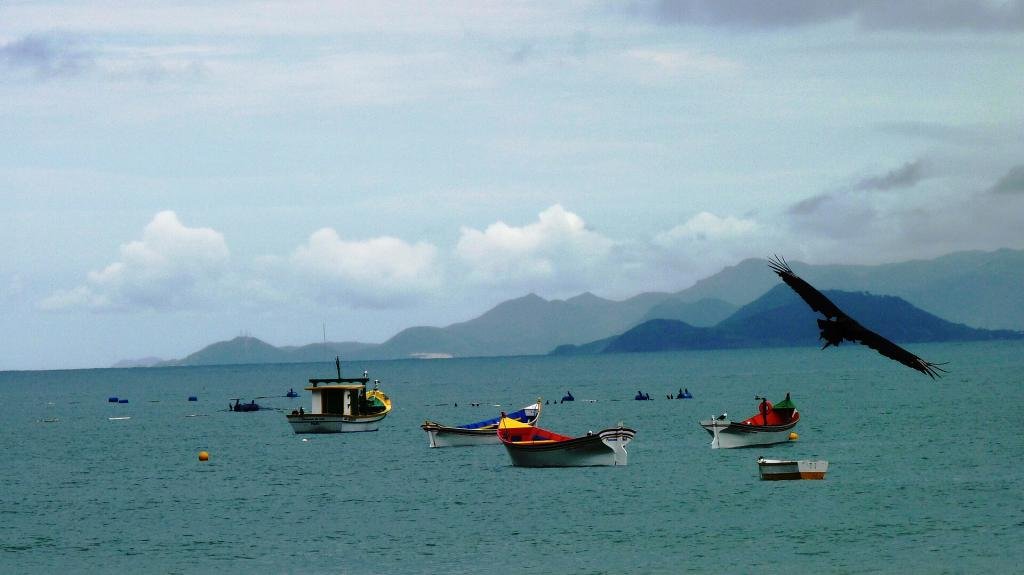 Barcos no Pântano do Sul