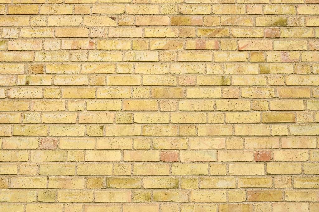 Muro de tijolos