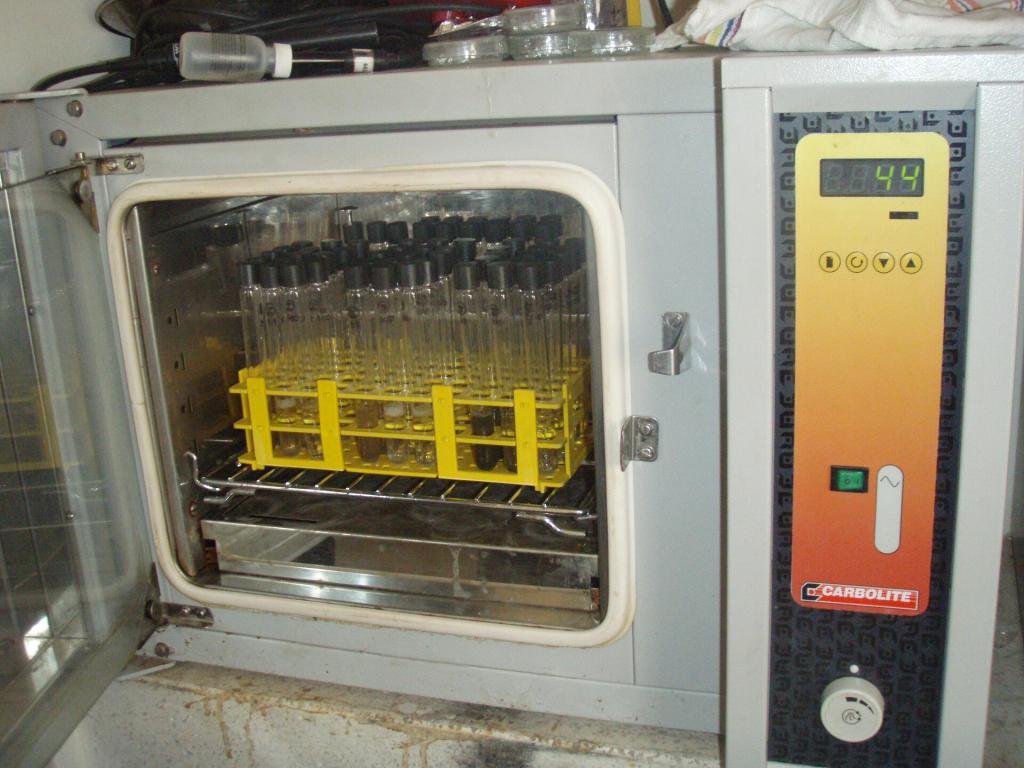 Tubos de ensaio em incubadora de laboratório